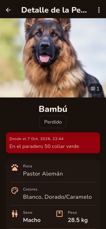 Detalle de Bambú, un pastor alemán marcado como perdido, con aviso rojo y datos de la última vez que se le vio
